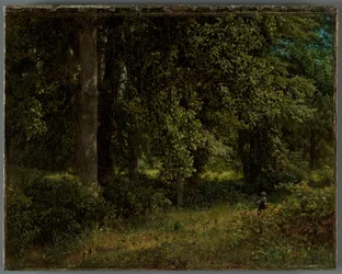 Tulip trees, 1859